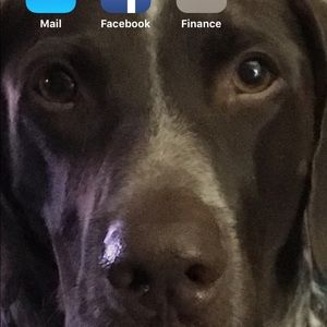 Meet your Posher, Dana